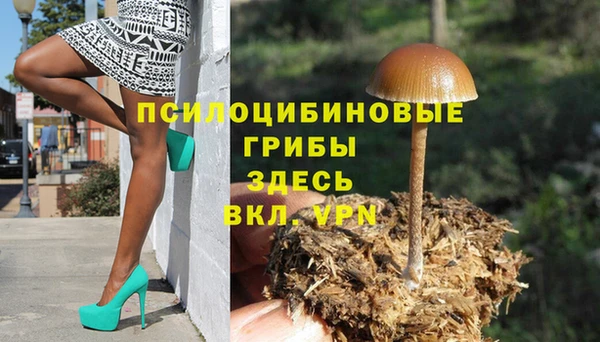 jwh Богородск
