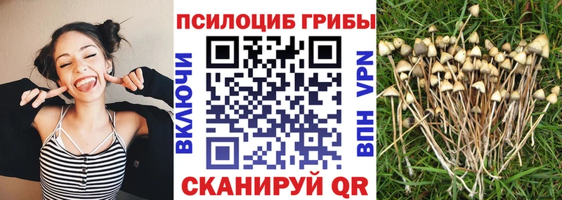 Галлюциногенные грибы мухоморы  Энем 